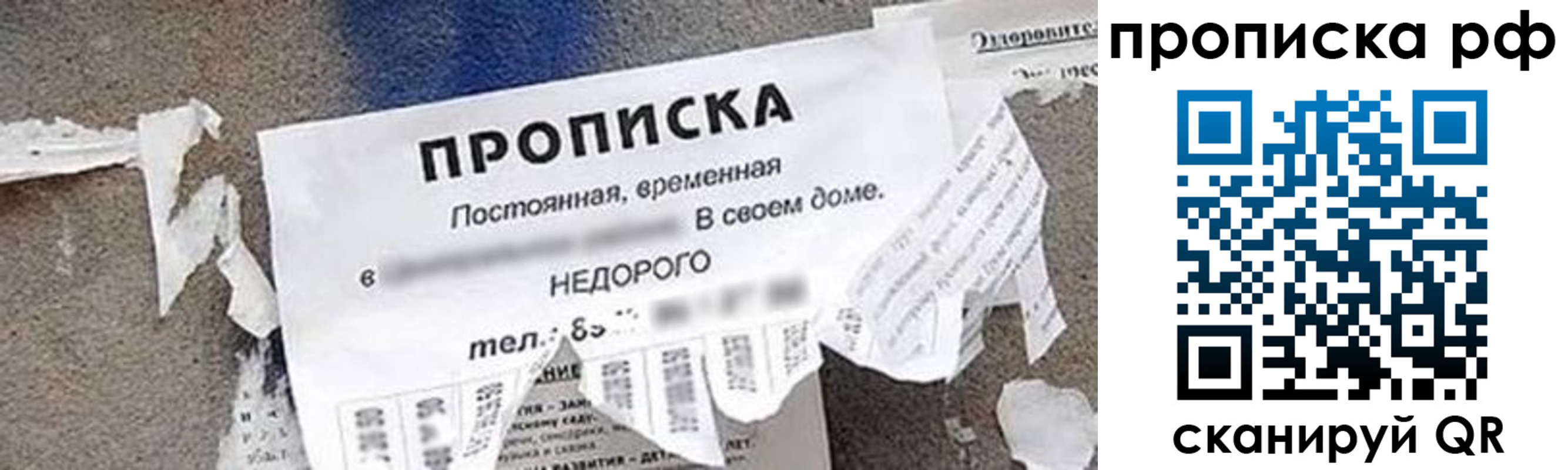 где прописаться в Касимове